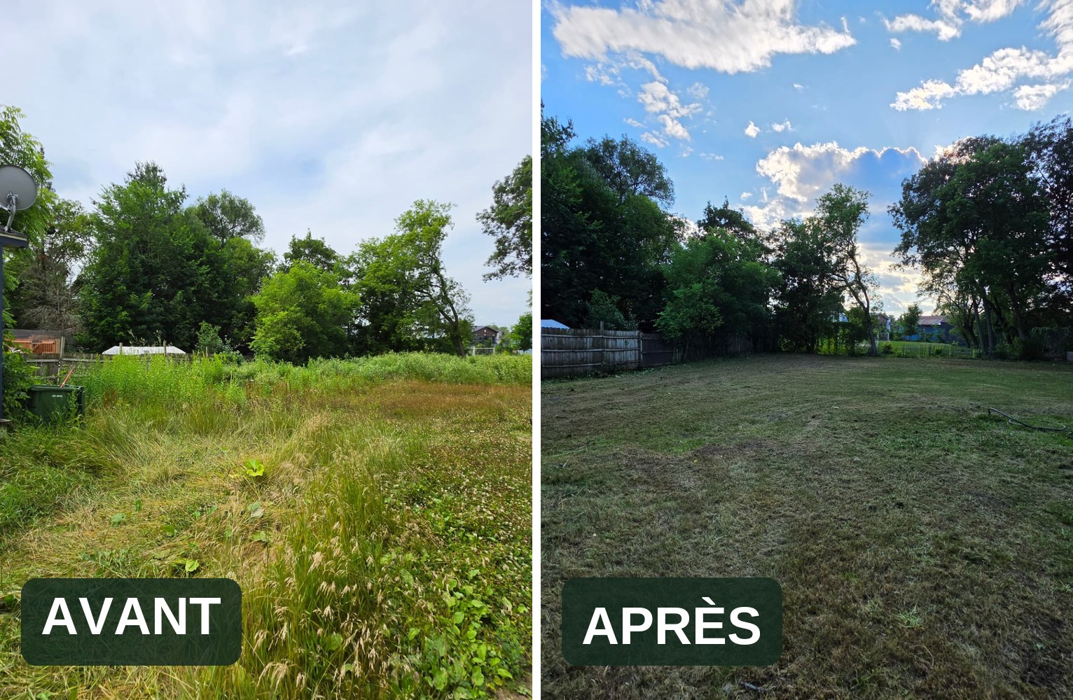Cour arrière avant et après un entretien complet du terrain