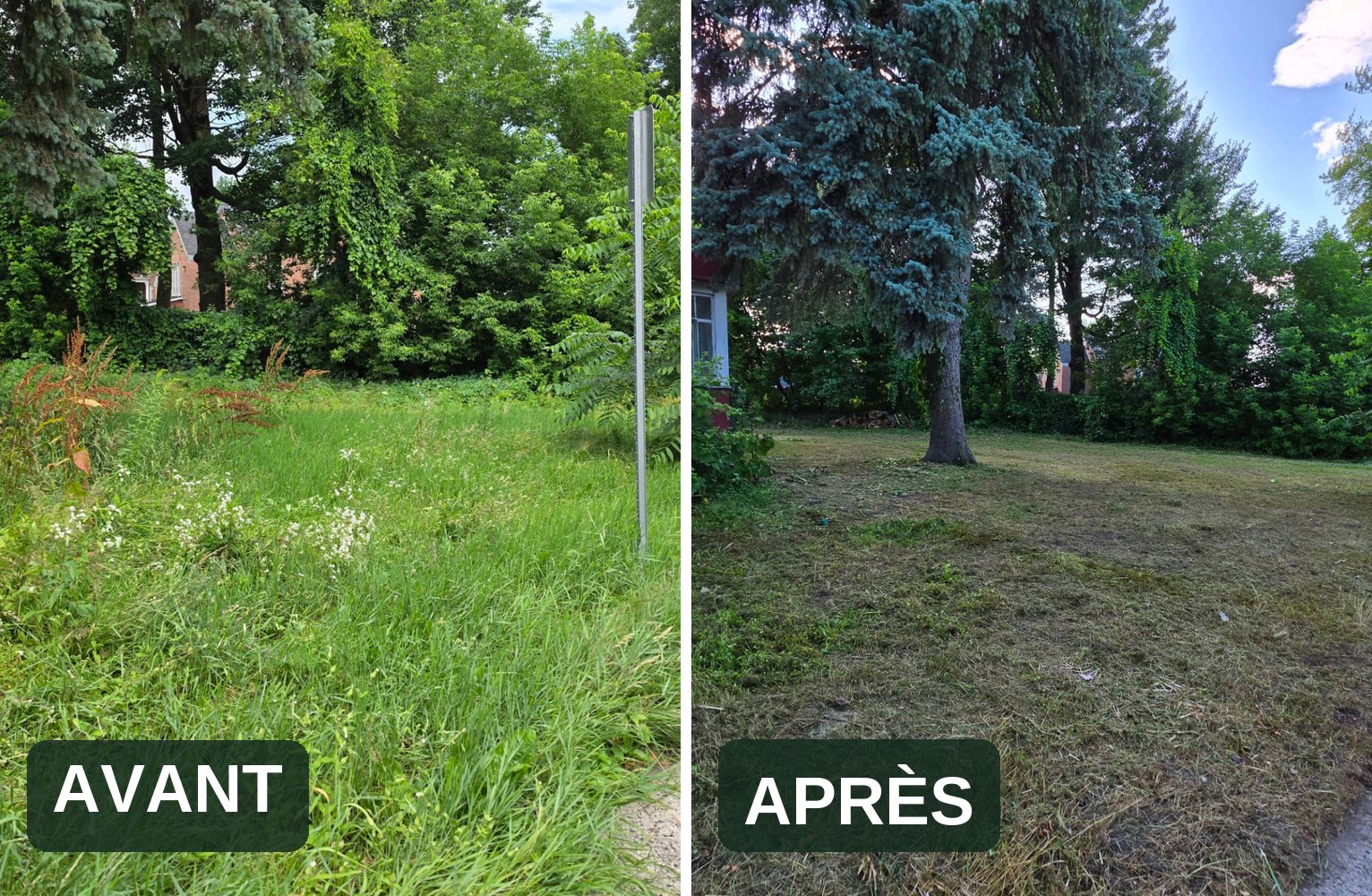 Terrain avant et après tonte et nettoyage